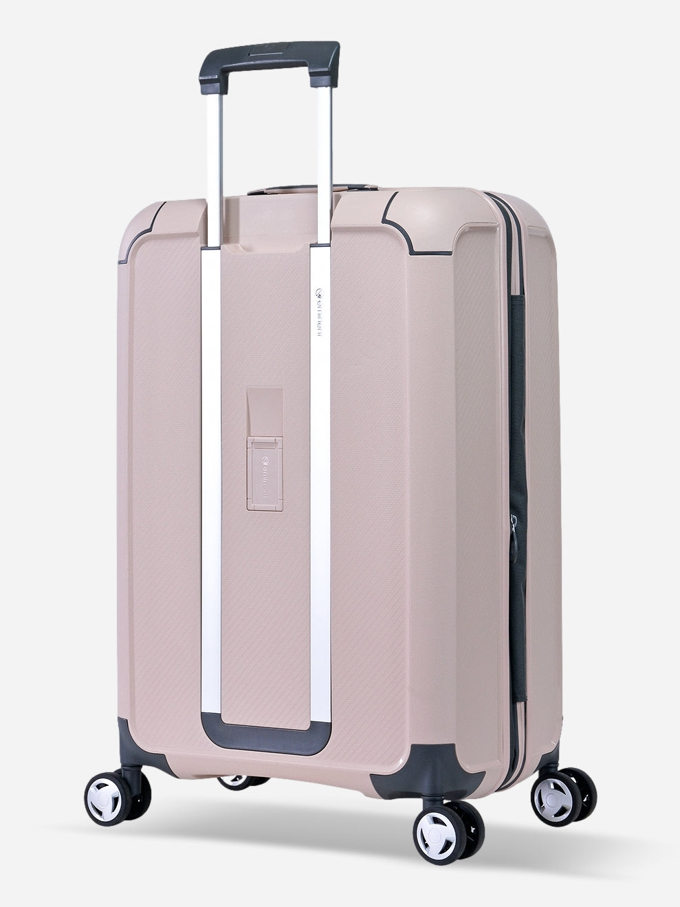 Aegis - Medium (Expandable) / Rose