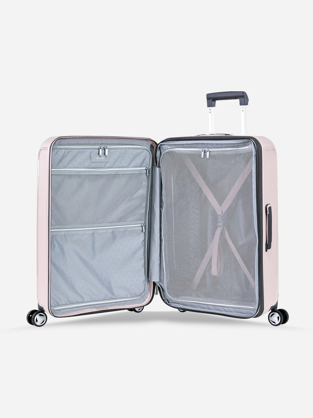 Aegis - Medium (Expandable) / Rose