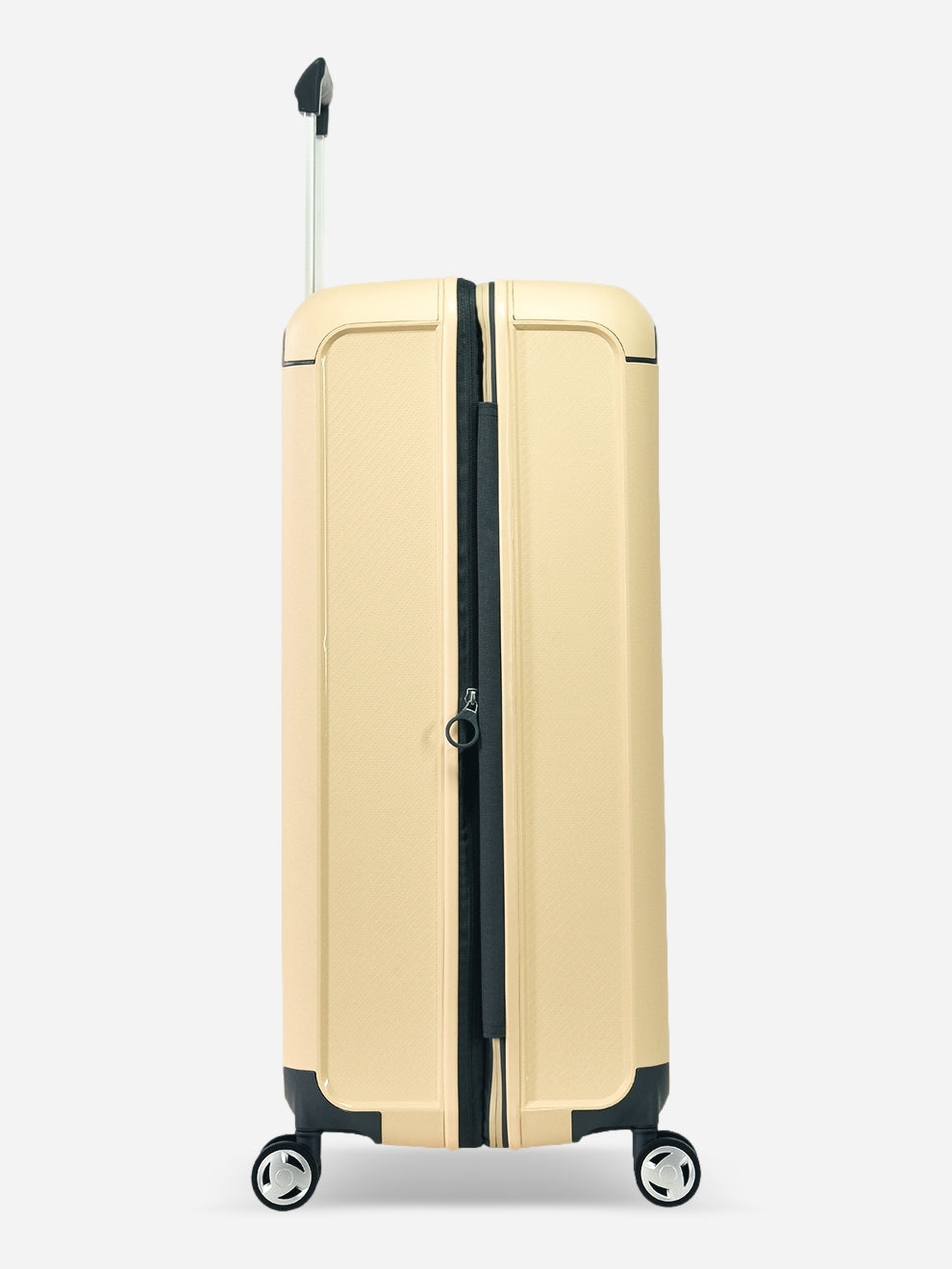 Aegis - Set (Expandable) / Yellow