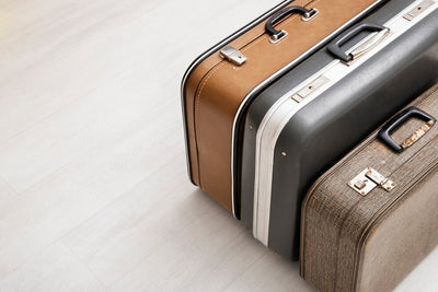 Global Statistics, Facts, and Trends in the Luggage Market (Updated in 2024)