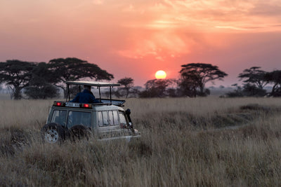 Przewodnik pakowania na safari: Najlepsza lista kontrolna na przygodę życia