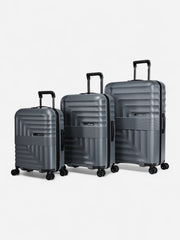 Dandelion - Set / Gris 