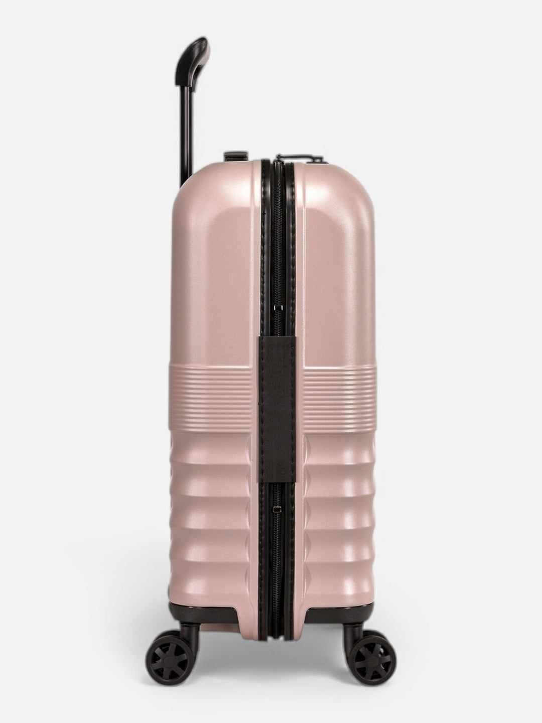 Dandelion - Cabaña / Rosa 