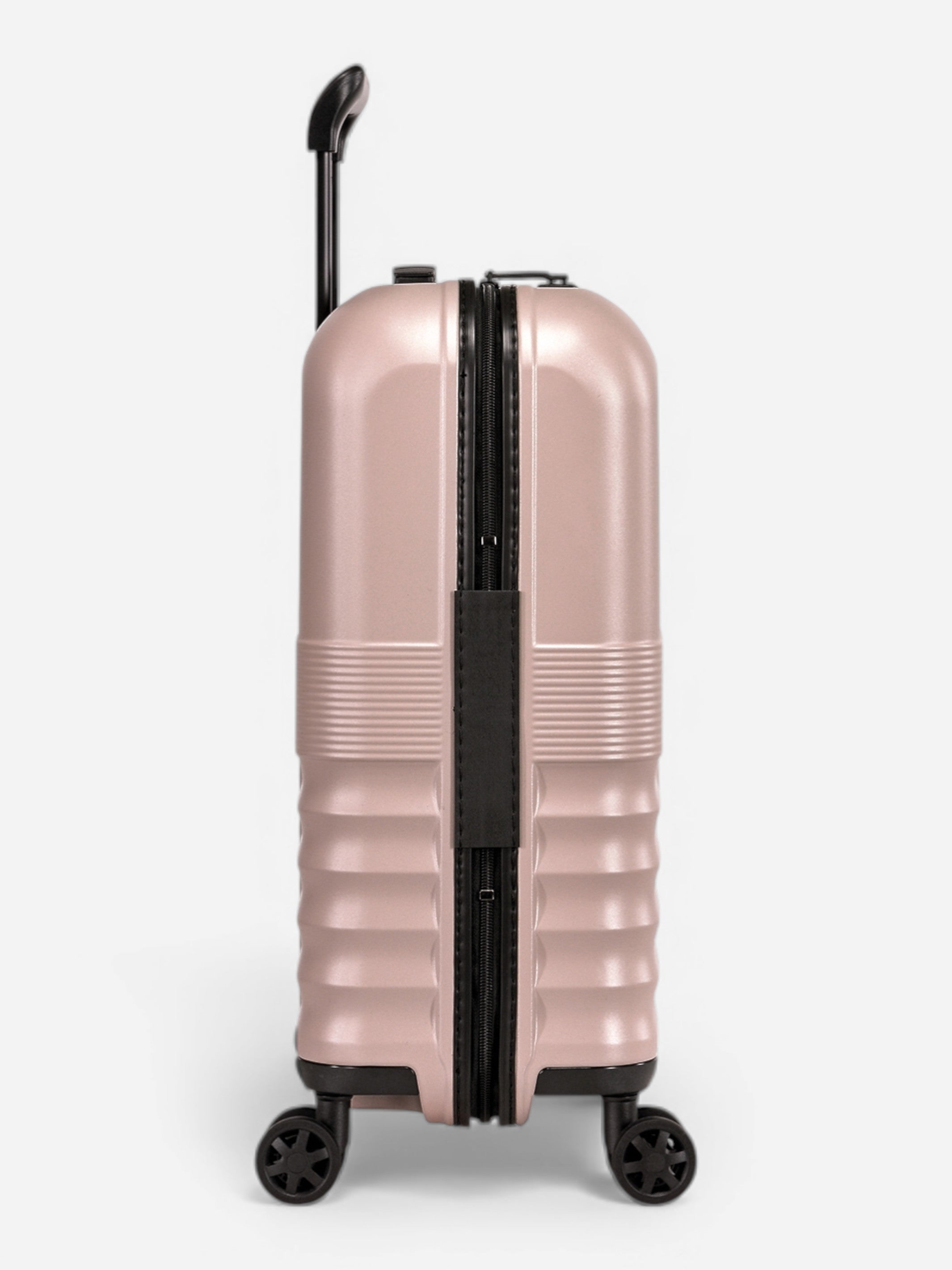 Dandelion - Cabaña / Rosa 