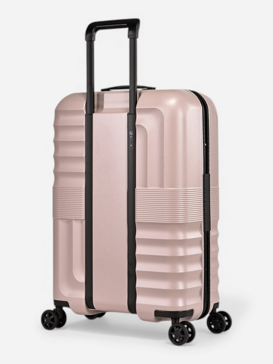 Dandelion - Mittel / Rose 