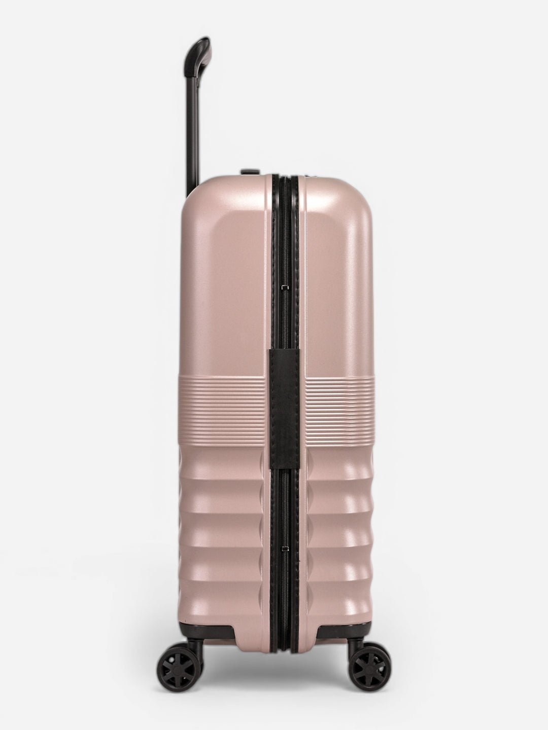 Dandelion - Mittel / Rose 