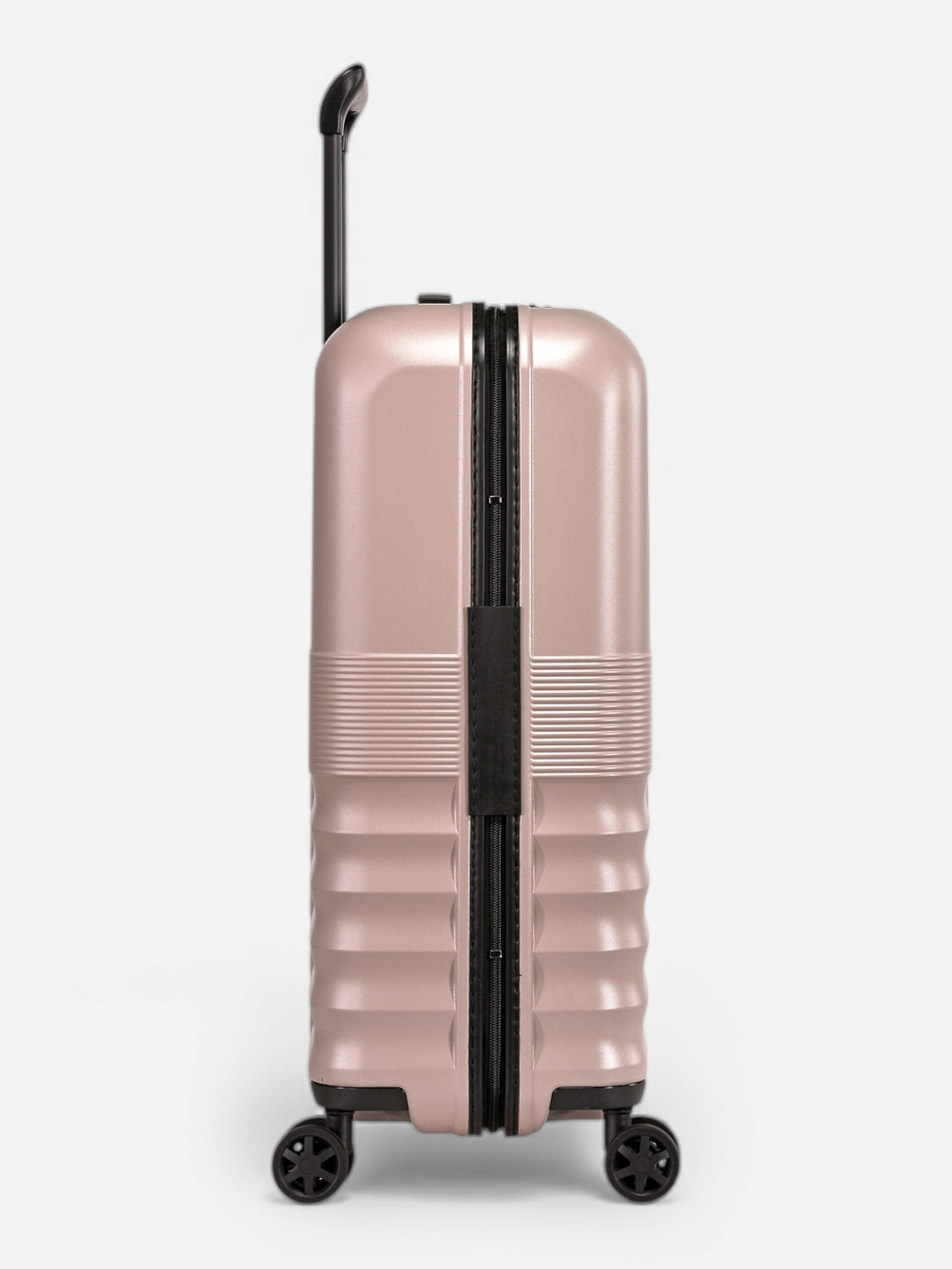 Dandelion - Mittel / Rose 