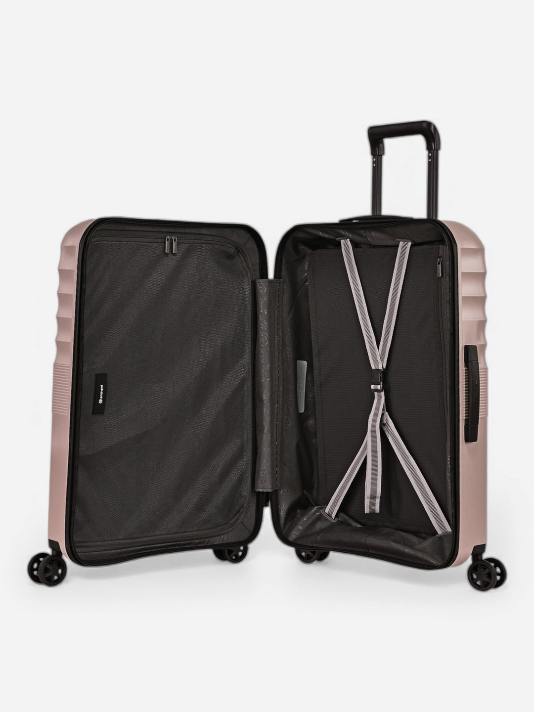 Dandelion - Mittel / Rose 