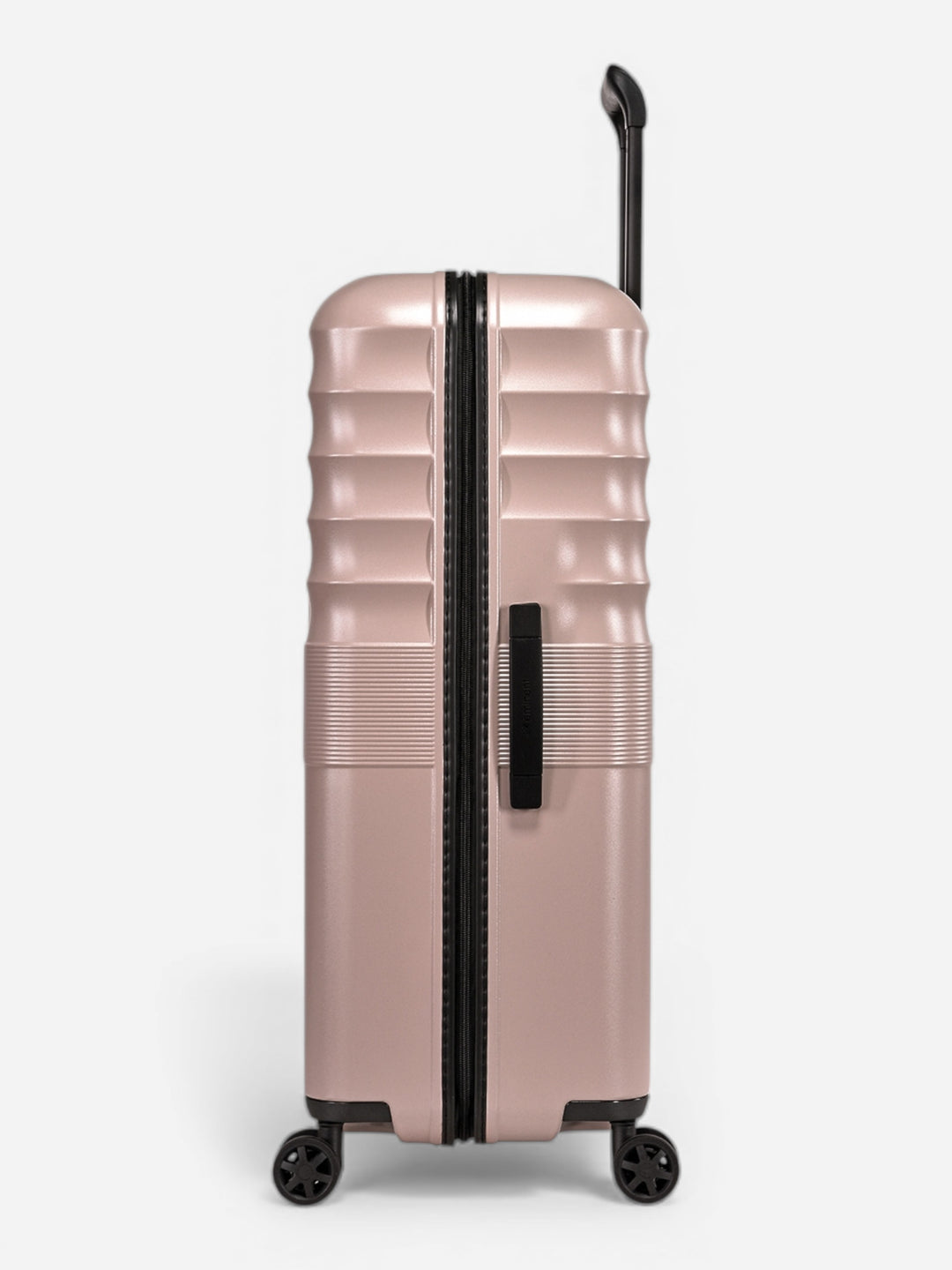 Dandelion - Groß / Rose 