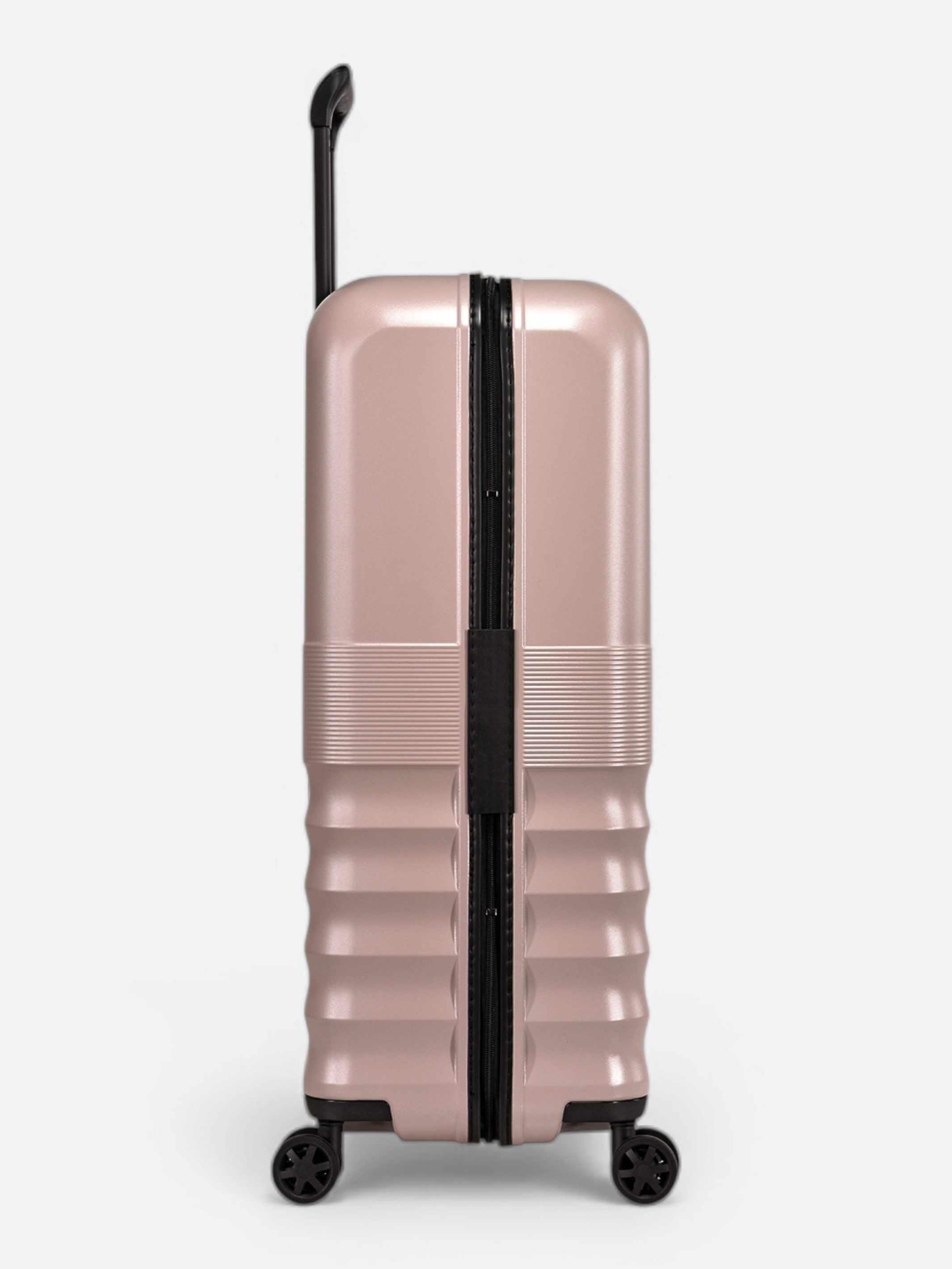 Dandelion - Groß / Rose 