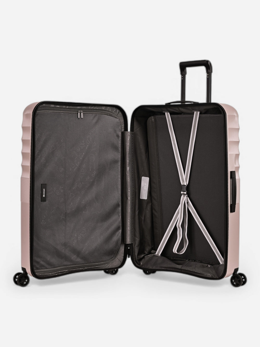 Dandelion - Groß / Rose 