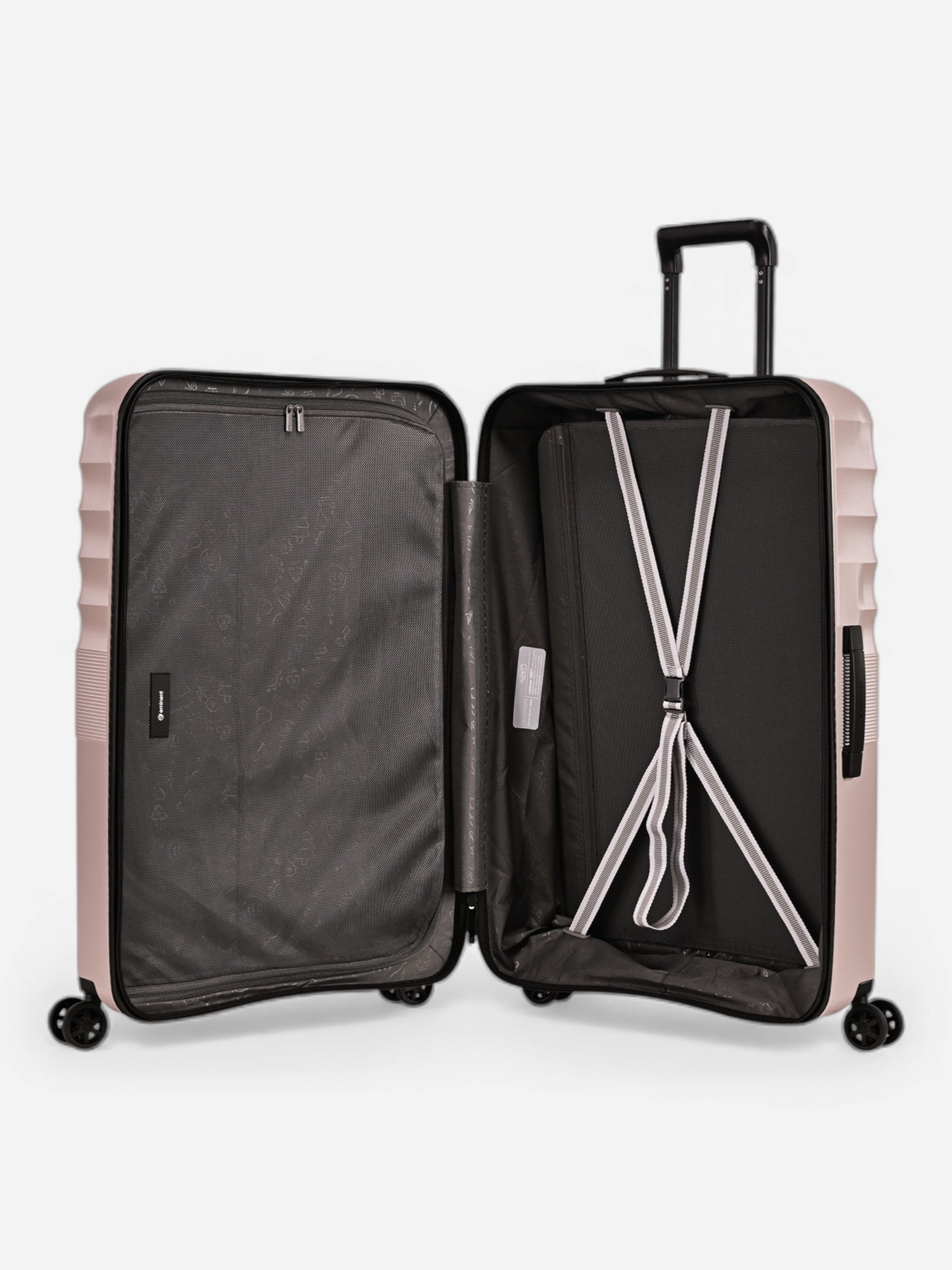 Dandelion - Set / Rose